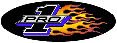 pro-one logo.gif (6789 bytes)