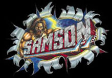 samlogo.jpg (17801 bytes)